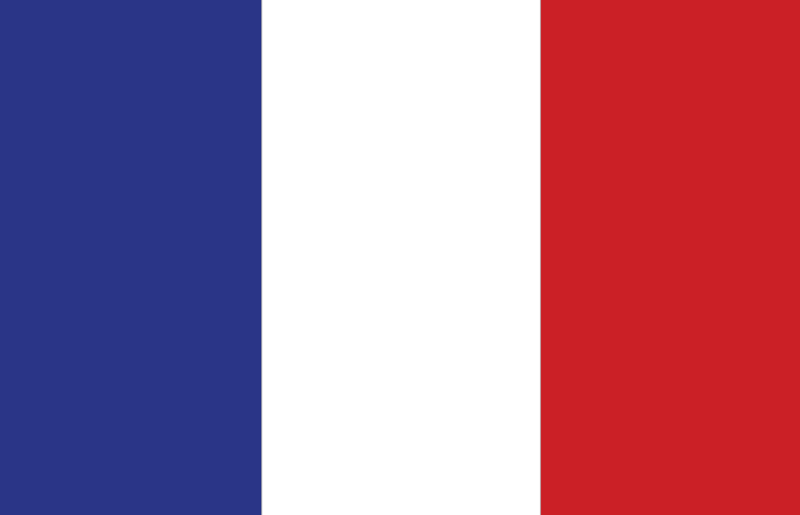 Global Payroll Taxation and Compliance Course: Payroll in France